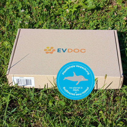 EV-DOC Aero Scheibenwischer, hinten für Kia Niro I