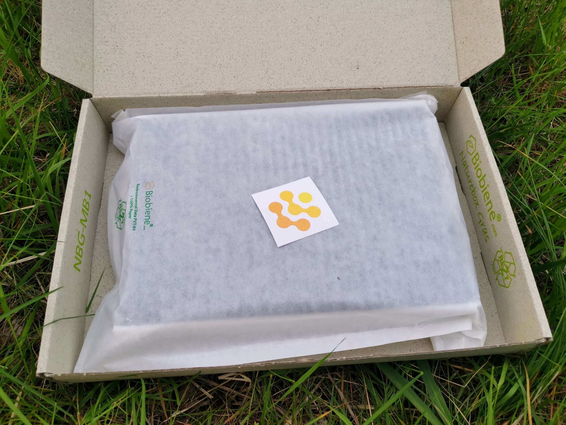 EV-DOC Aktivkohle Innenraumfilter für Kia Niro I & Hyundai IONIQ Classic